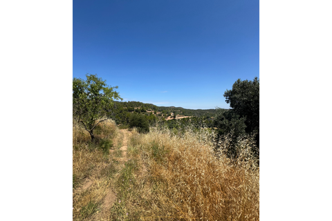 Ruinere i Mora La Nova, Tarragona, Mora La Nova - € 96.000 | Ref: Masía Catalana - foto 7